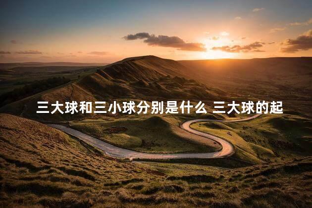 三大球和三小球分别是什么 三大球的起源